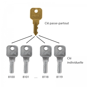 Clé passe-partout Secura - VITRIS